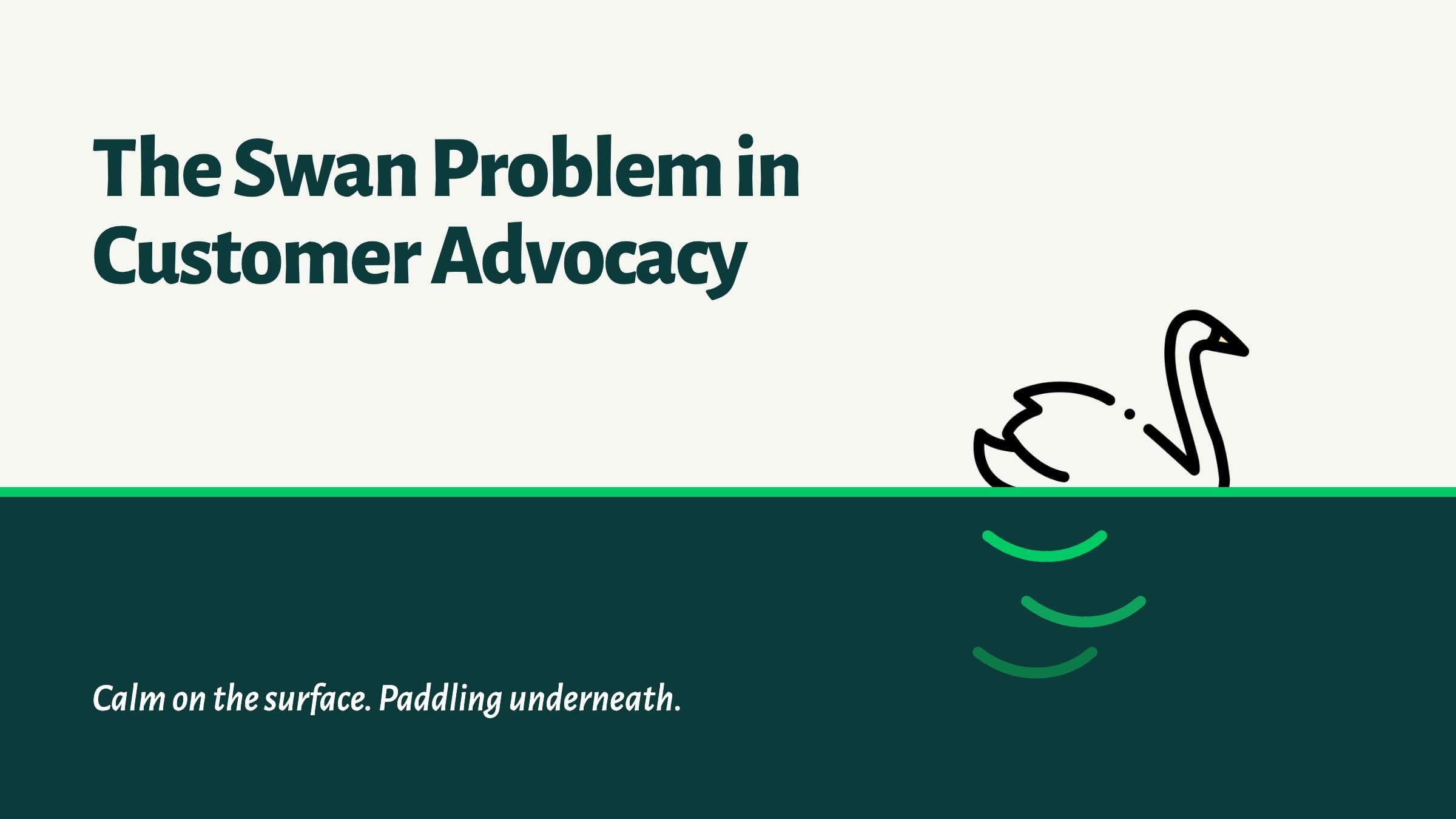 A swan gliding on the surface while paddling underneath, illustrating the swan problem in customer advocacy